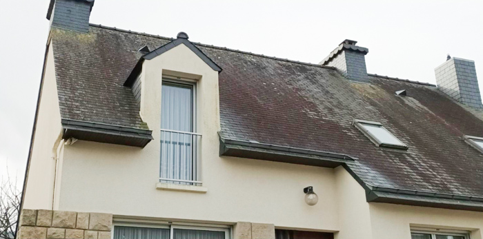 Toiture envahie par la mousse avant nettoyage
